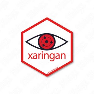 Xaringan RStudio hex sticker adesivo